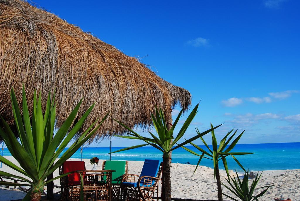 Aida Beach Hotel & Apartments - El Alamein Bagian luar foto